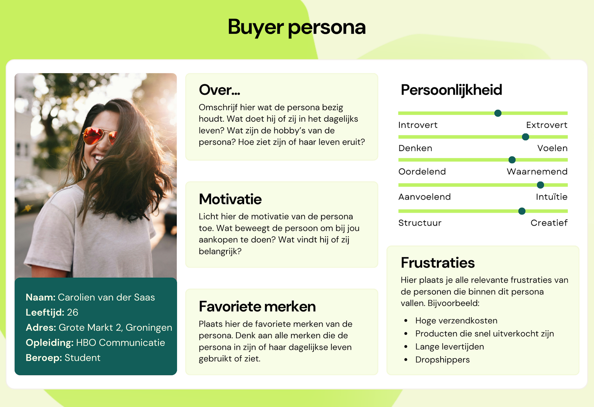 Voorbeeld buyer persona webshop